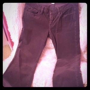 Ann Taylor Loft comfy grey cords